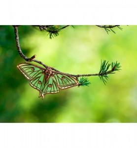 Tableau isabelle sur une branche de pin
