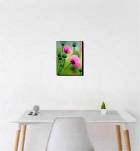 Petit Tableau Fleurs de pavot rose