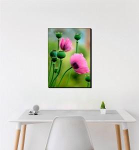 Moyen Tableau Fleurs de pavot rose