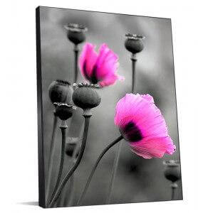 Tableau Fleurs de pavot rose monochrome