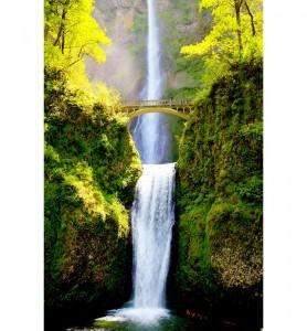 Tableau Les chutes de Multnomah