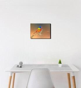 Petit Tableau Passerin l’oiseau multicolore