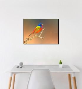 Moyen Tableau Passerin l’oiseau multicolore