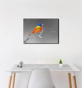 Moyen Tableau Passerin l’oiseau multicolore noir et blanc