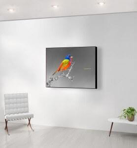 Moyen Tableau Passerin l’oiseau multicolore noir et blanc