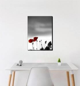 Moyen Tableau Coquelicots au couchant monochrome