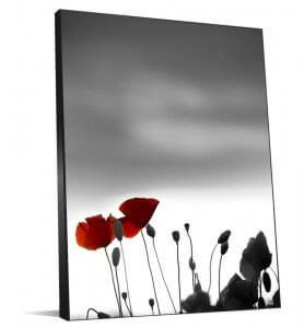 Tableau Coquelicots au couchant monochrome