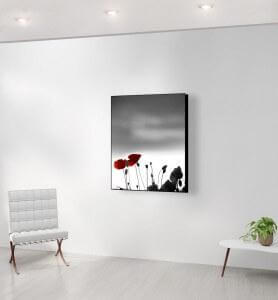 Moyen Tableau Coquelicots au couchant noir et blanc