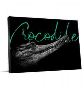 tableau noir et blanc crocodile