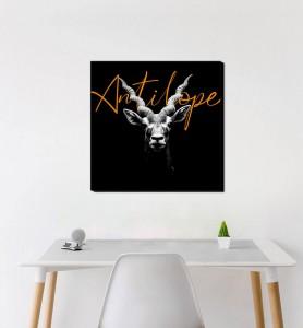 Moyen Tableau d'une antilope noir et blanc