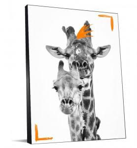 TABLEAU GIRAFES TENDANCE