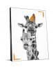 GIRAFES TENDANCE