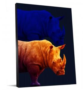 Rhinocéros tendance pour votre déco