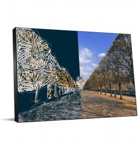 JARDIN DU LUXEMBOURG DESSIN