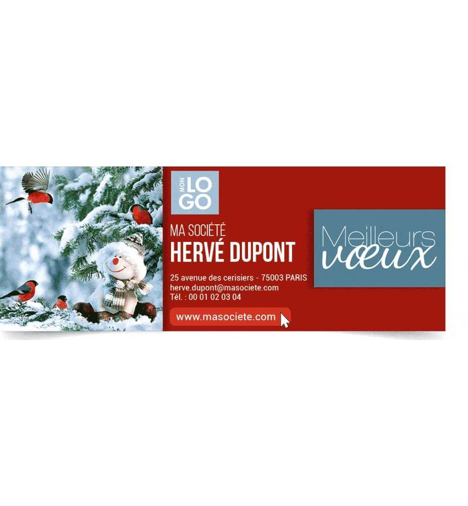Signature mail hiver givré animée et personnalisée.