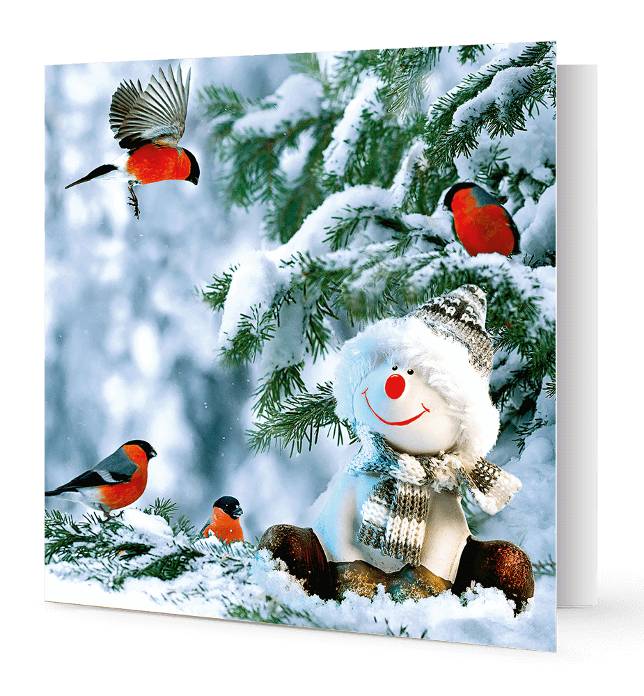 Carte de vœux rouge-gorge entourant un bonhomme de neige.