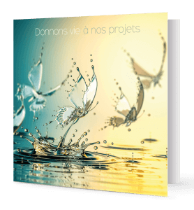 Cartes de vœux papillons d'eau