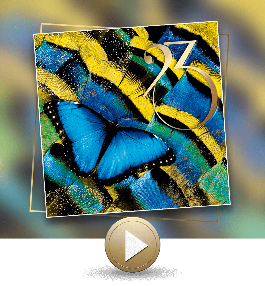 Ecard vidéo la beauté du papillon.