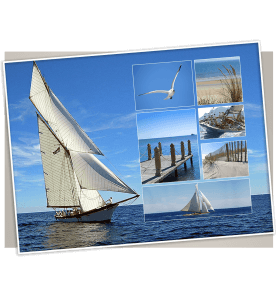 Ecard congés Marine