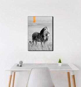 Moyen Tableau décoration Lion au Kenya noir et blanc