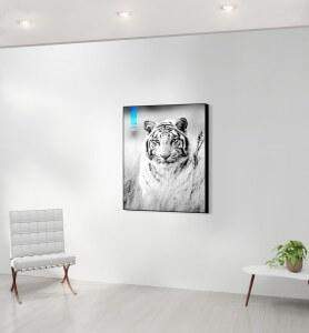 Moyen Tableau décoration Tigre blanc