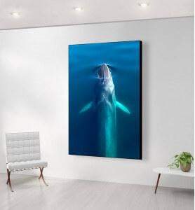 Grand Tableau au-dessus de la Baleine bleue