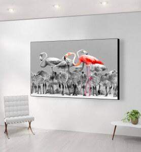 Grand Tableau Flamands roses du Yucatan noir et blanc