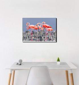 Moyen Tableau Flamands roses du Yucatan