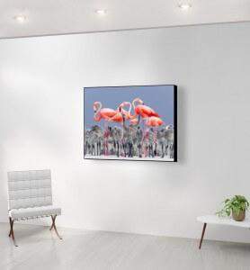 Moyen Tableau Flamands roses du Yucatan