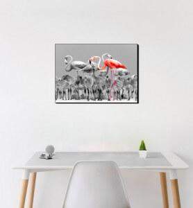 Moyen Tableau Flamands roses du Yucatan noir et blanc