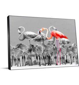 Tableau Flamands roses du Yucatan noir et blanc