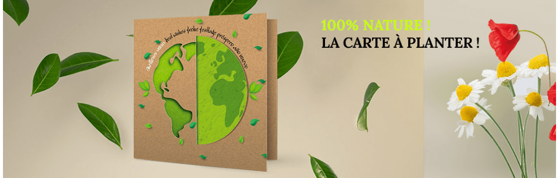 Carte à Planter Bonne Année 2024 - Souhaitez vos vœux d'une façon originale  !
