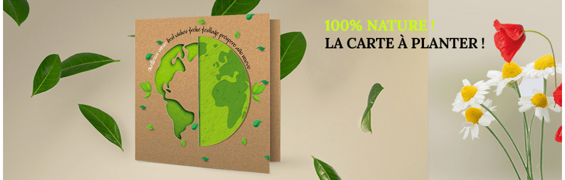 Carte de vœux nature à planter 2022 - Editions du curieux